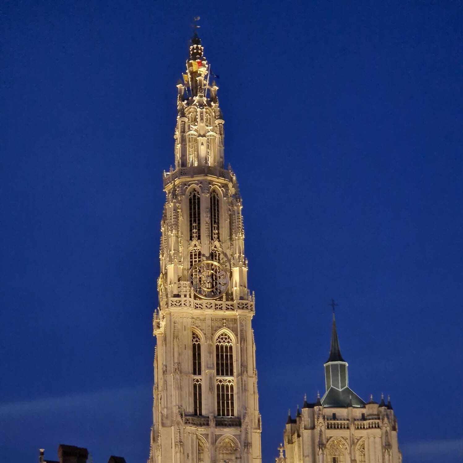 antwerpen bij nacht