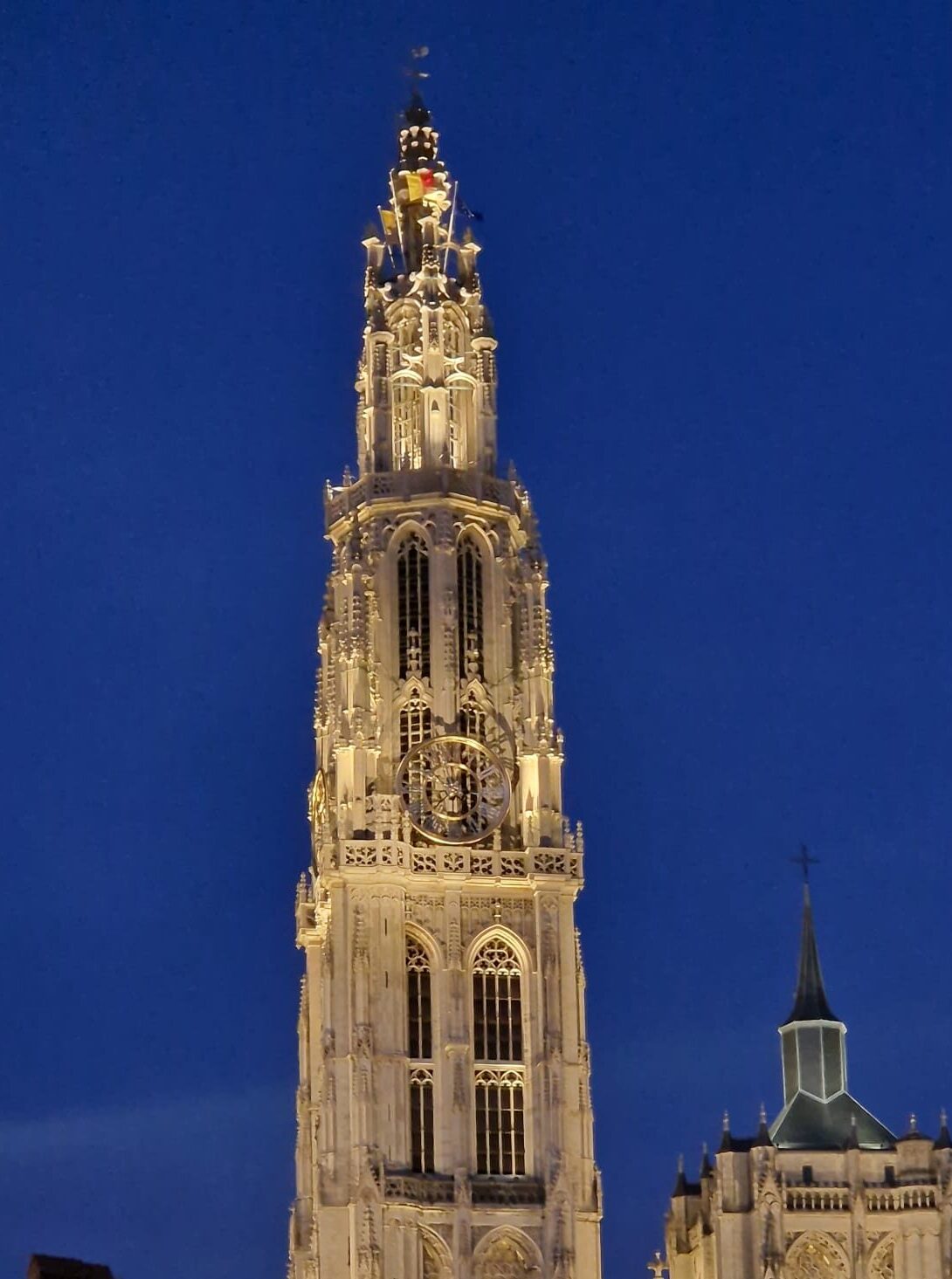 antwerpen bij nacht